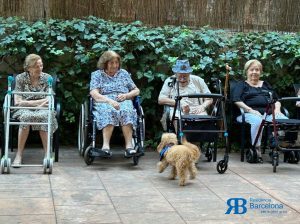 Residència Barcelona per a gent gran amb admissió de mascotes